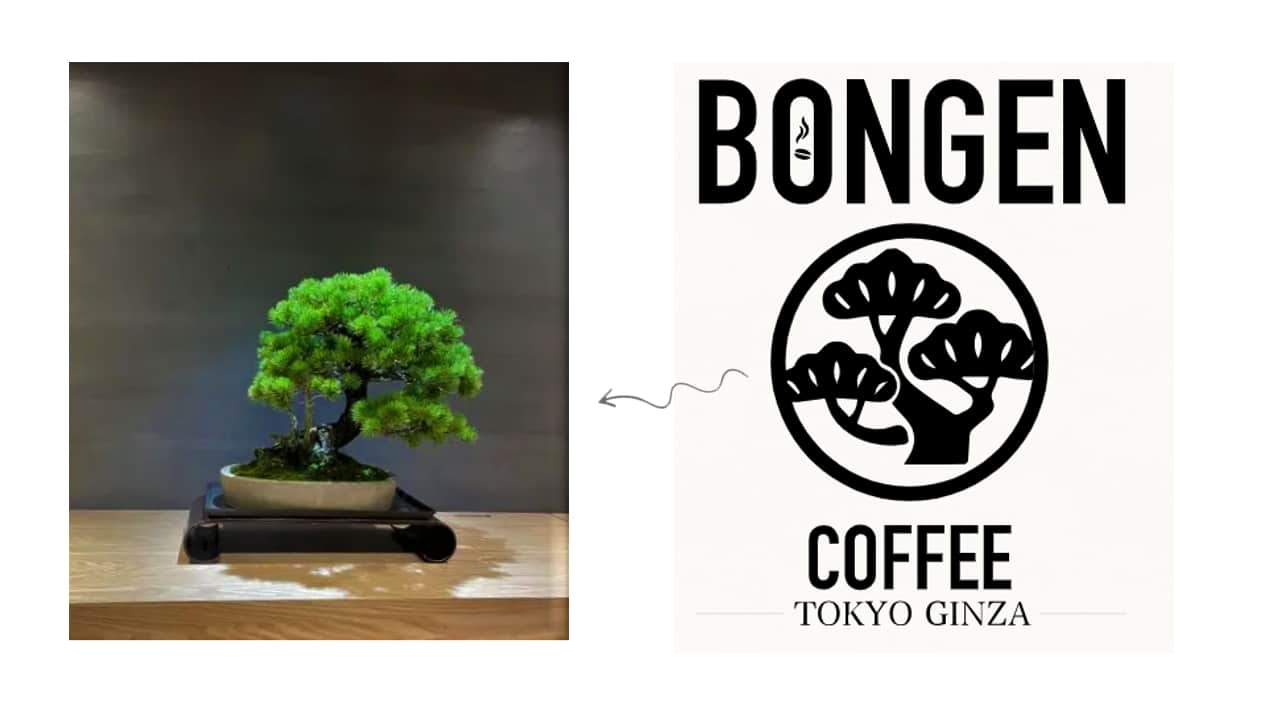 Visual focus the bonsai