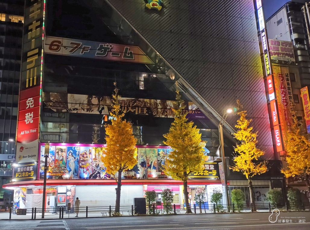 Ginkgo Biloba Trees are lighted up during the night.