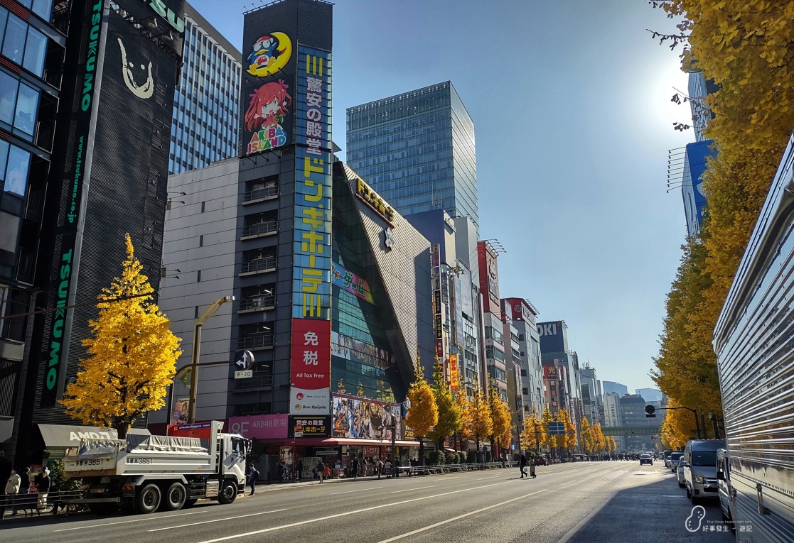 Astonishing Ginkgo Trees alongside the streets at Akihabara Tokyo