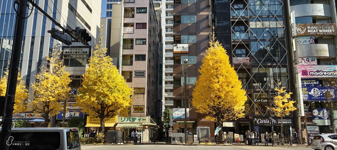 Autumn Colored streets at Akihabara