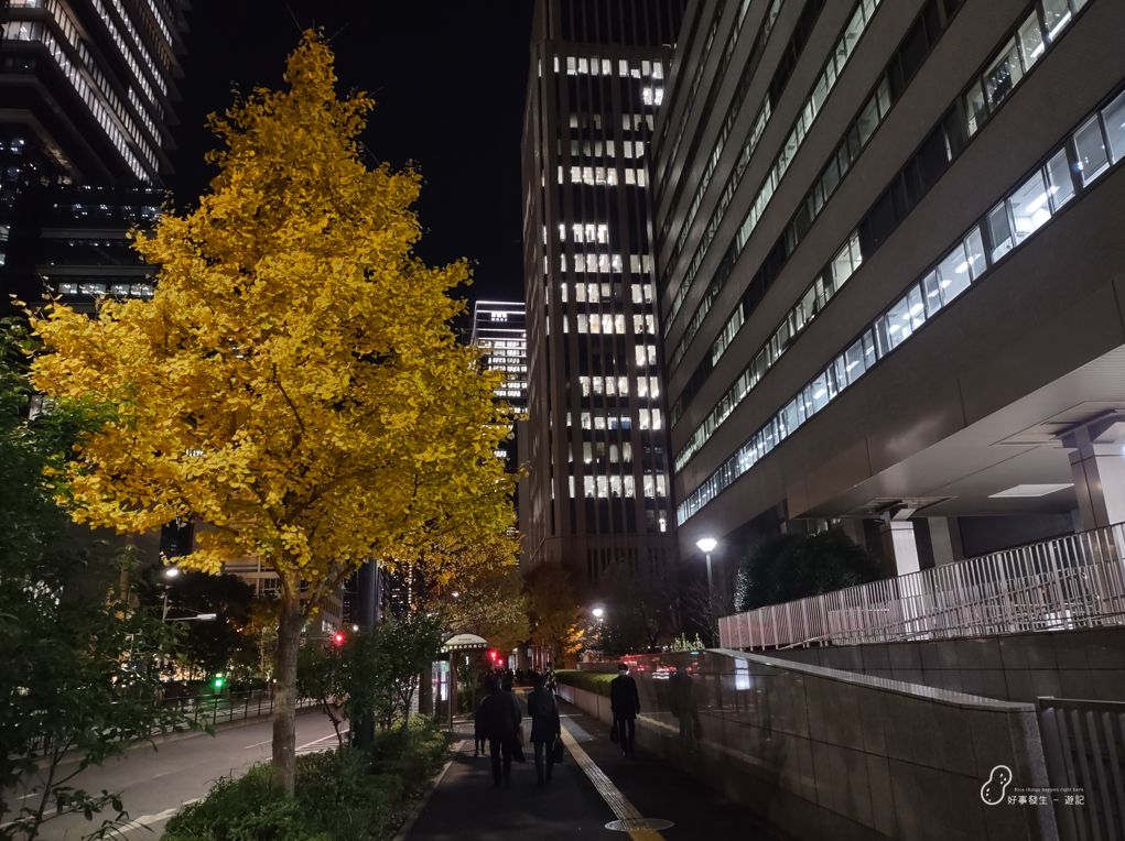 Even at the night, the autumn color in Tokyo city is still so vivid